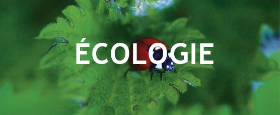 Ecologie