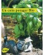 Un coin potager bio